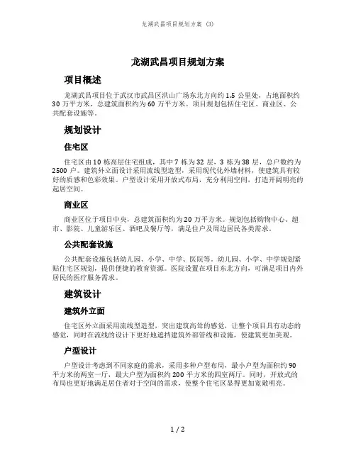 龙湖武昌项目规划方案 (3)