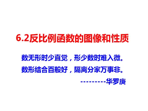 北师大版九年级数学上册反比例函数的图像和性质课件(共41张)