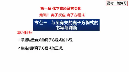 2024届高三化学高考备考一轮复习专题 与量有关的离子方程式的书写与判断课件