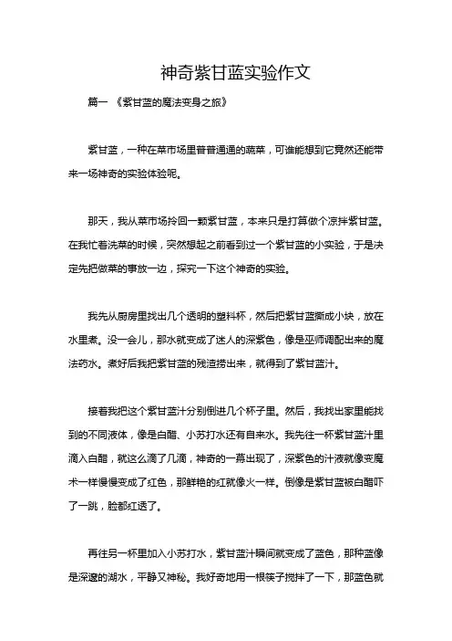 神奇紫甘蓝实验作文
