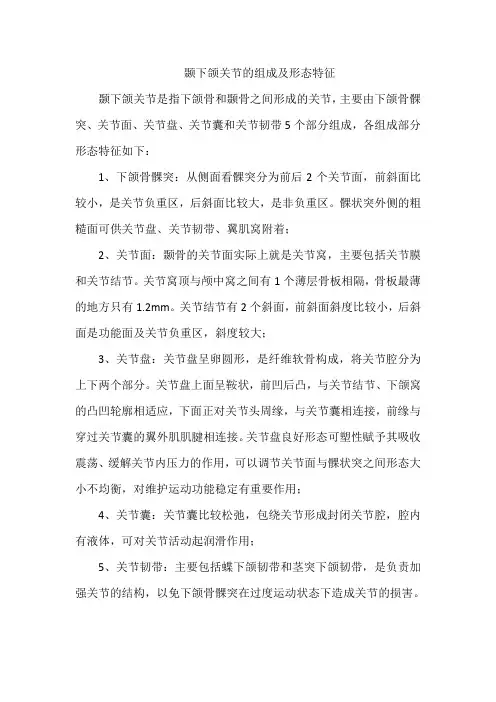 颞下颌关节的组成及形态特征