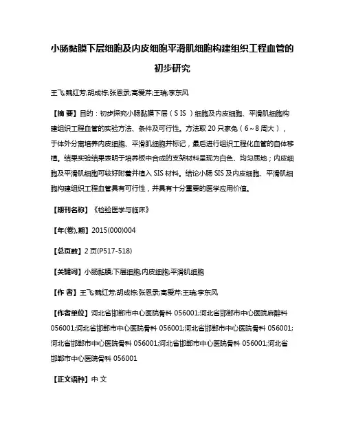 小肠黏膜下层细胞及内皮细胞平滑肌细胞构建组织工程血管的初步研究