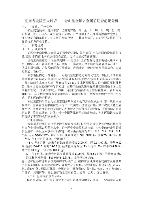 湖南省炎陵县大岭背——青山里金银多金属矿勘查前景分析