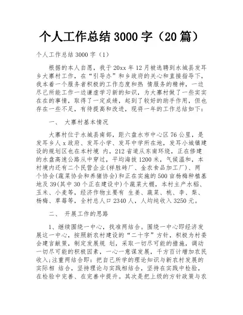 个人工作总结3000字(20篇)