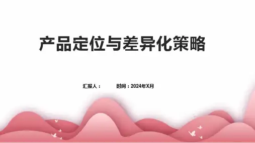 产品定位与差异化策略