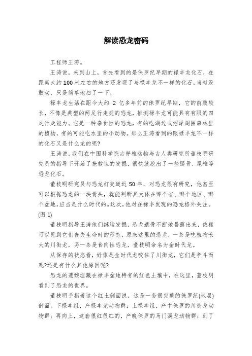解读恐龙密码
