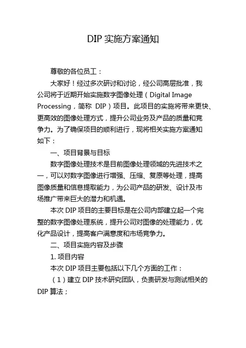DIP实施方案通知