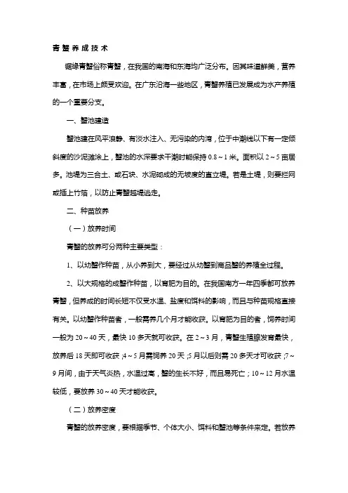 锯缘青蟹养成