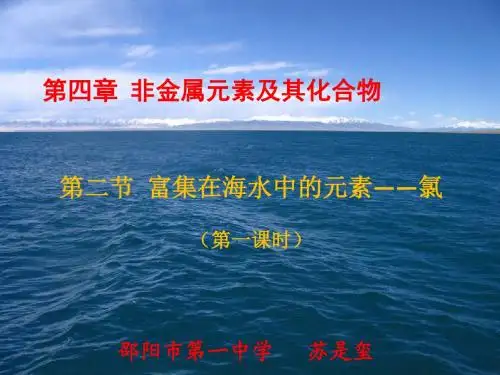 富集在海水中的元素  苏是玺