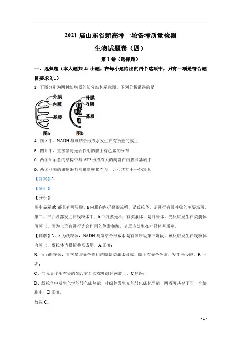 【精准解析】山东省2021届高三新高考一轮备考质量检测生物试题四) 