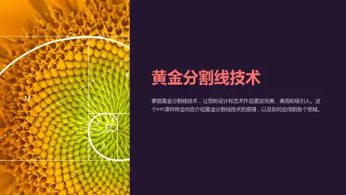 《黄金分割线技术》课件