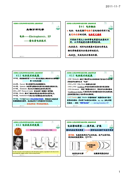 06电泳-蛋白质电泳技术-to S