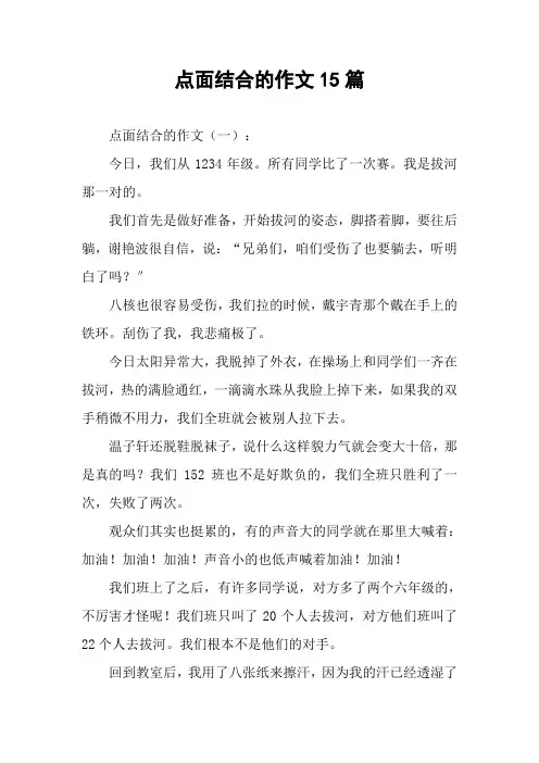 点面结合的作文15篇