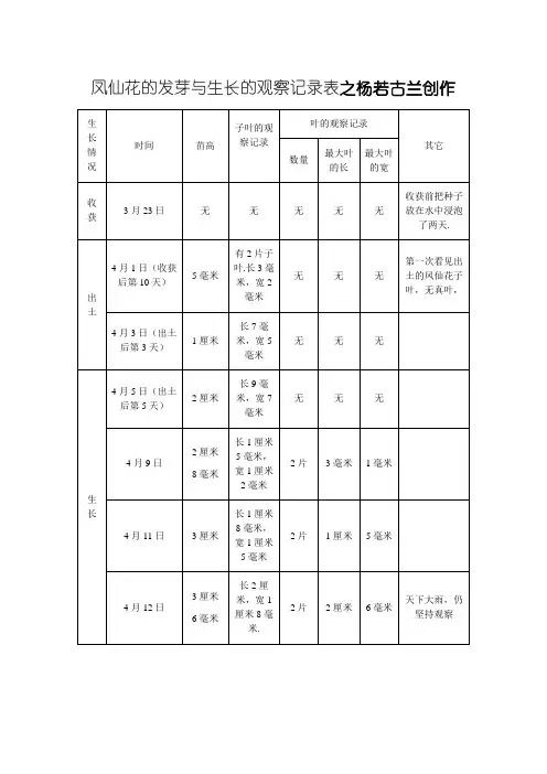 凤仙花的发芽与生长的观察记录表