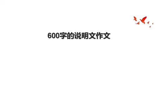 600字的说明文作文.pptx