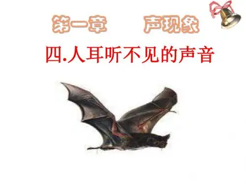 苏科版物理八上《人耳听不见的声音》ppt课件