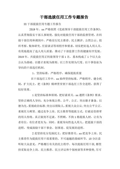 干部选拔任用工作专题报告