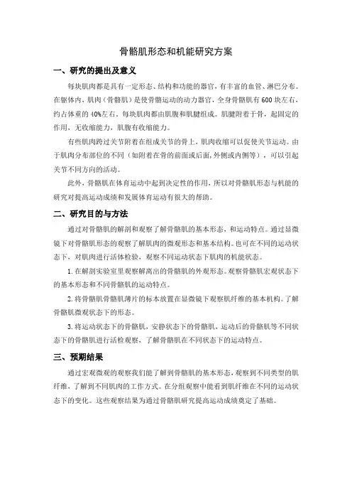 骨骼肌形态和机能研究方案--运动生理学作业