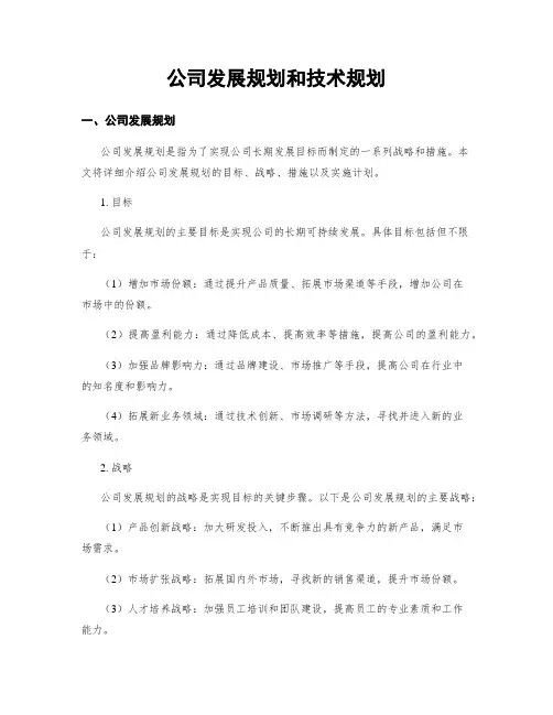 公司发展规划和技术规划
