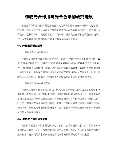 植物光合作用与光合色素的研究进展