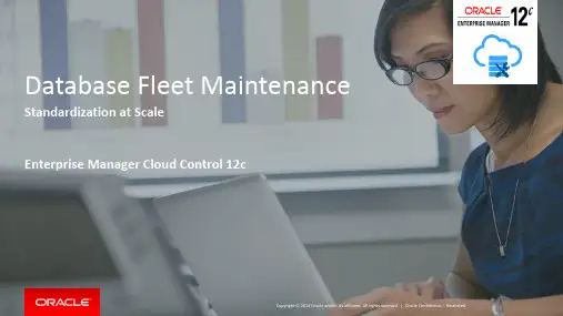 Oracle Enterprise Manager Cloud Control 12c 产品说明书