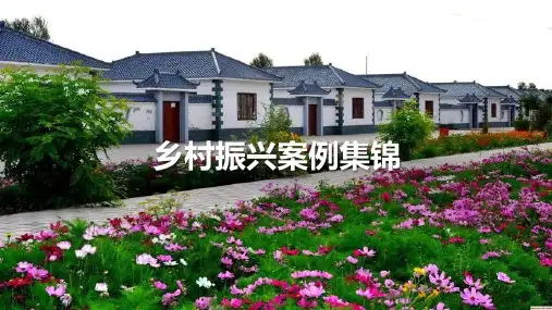 乡村振兴案例集锦1