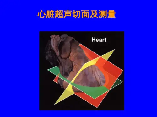 心脏超声标准切面及测量精品课件