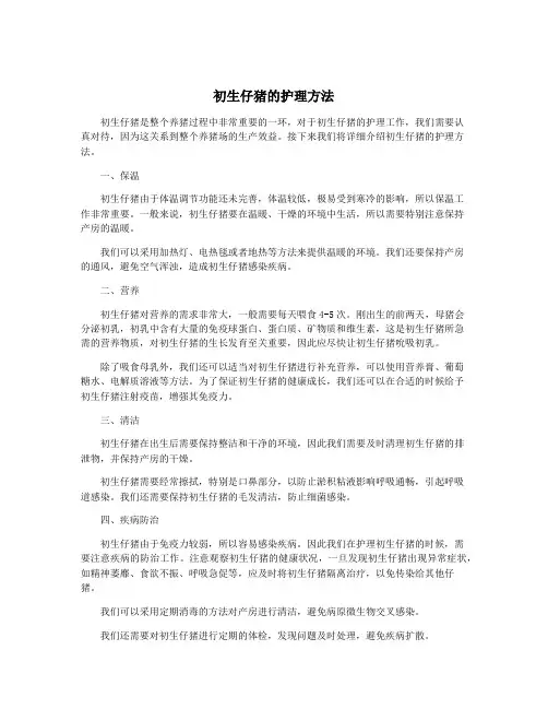 初生仔猪的护理方法