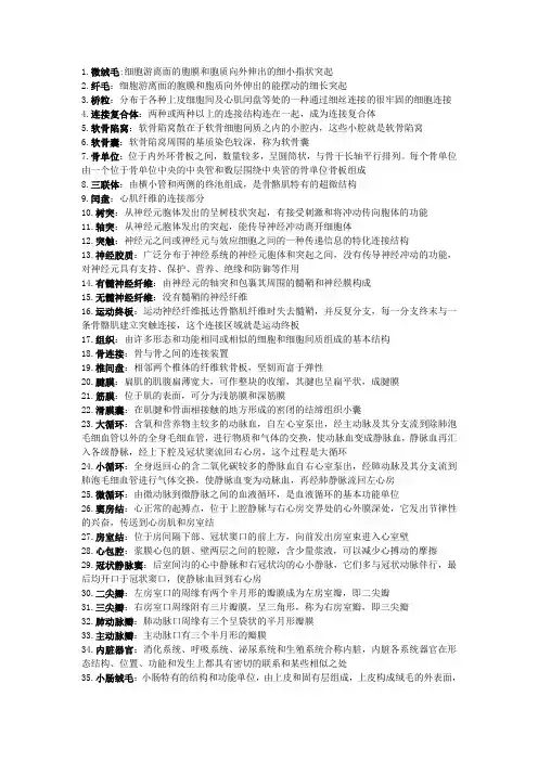 人体解剖学与组织学资料