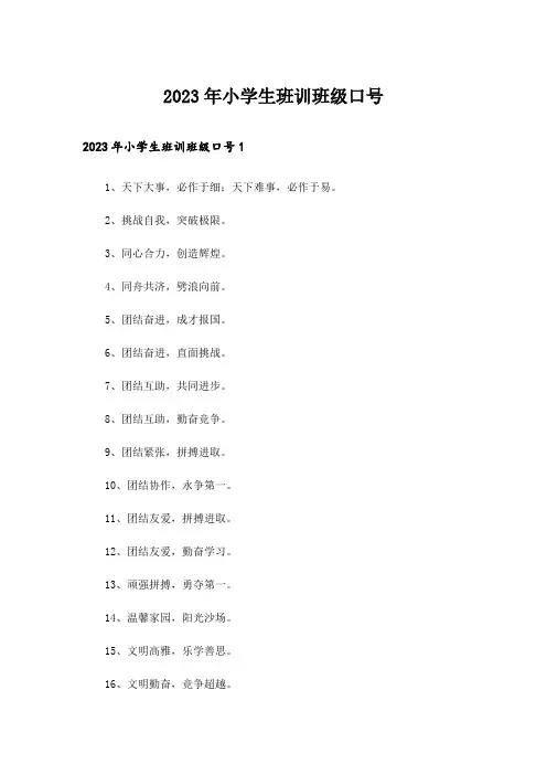 2023年小学生班训班级口号