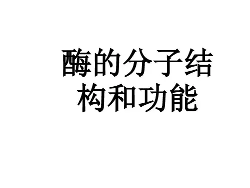 酶的分子结构和功能