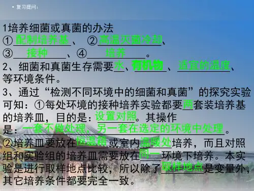 八年级生物上册第四章第三节真菌人教版ppt课件