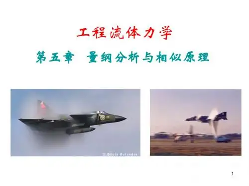 量纲分析与相似原理ppt课件