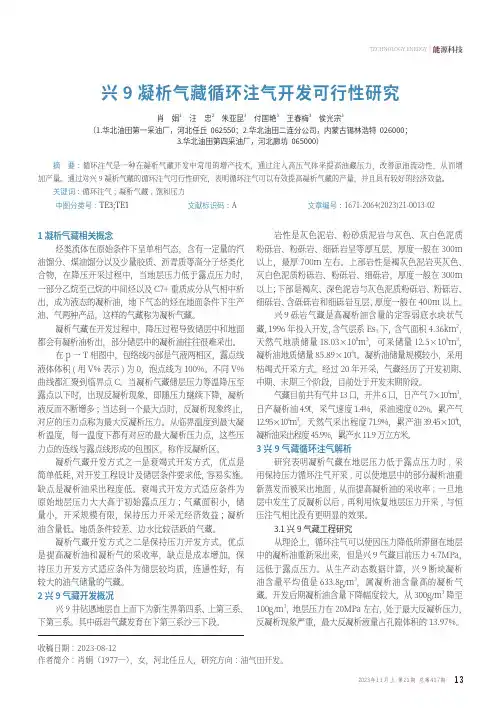 兴9_凝析气藏循环注气开发可行性研究