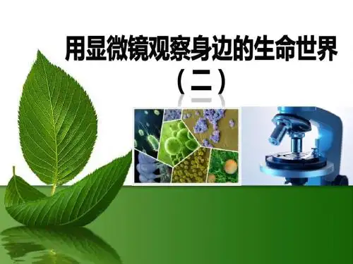 《用显微镜观察身边的生命世界(二)》微小世界PPT课件3