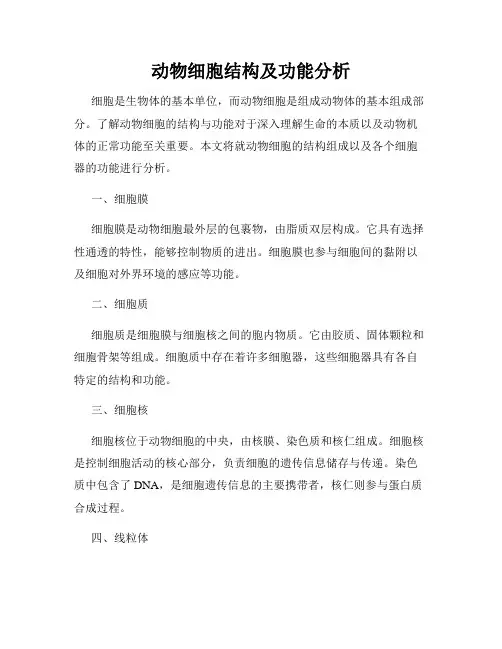 动物细胞结构及功能分析