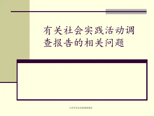 大学生社会实践调查报告 ppt课件