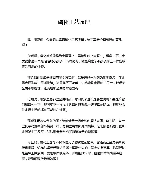磷化工艺原理