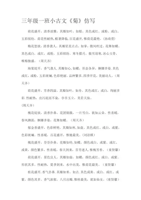 三年级一班小古文-仿《菊》【范本模板】