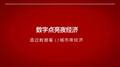夜经济发展报告-数字点亮夜经济