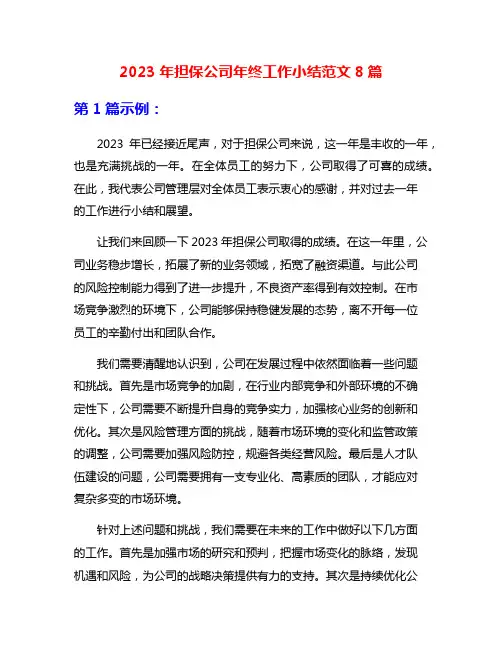 2023年担保公司年终工作小结范文8篇