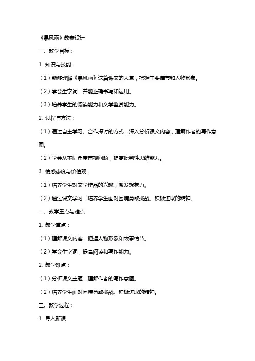 《暴风雨》教案设计