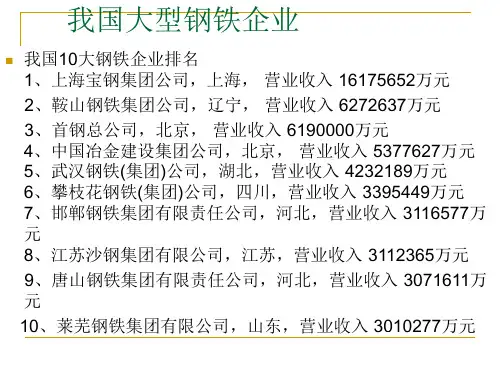 我国大型钢铁公司简介