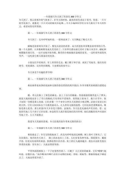 一年级描写冬天到了的景色300字作文 