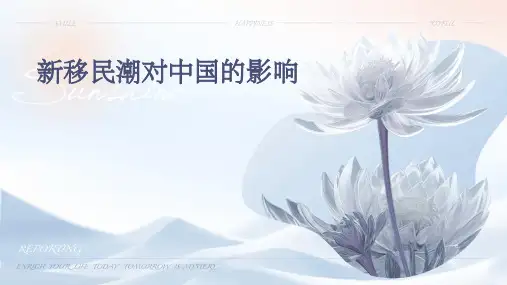 新移民潮对中国的影响课件