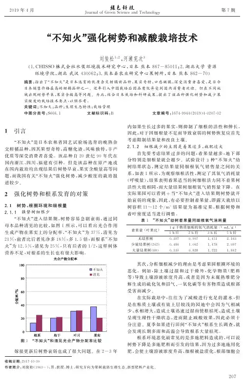 “不知火”强化树势和减酸栽培技术