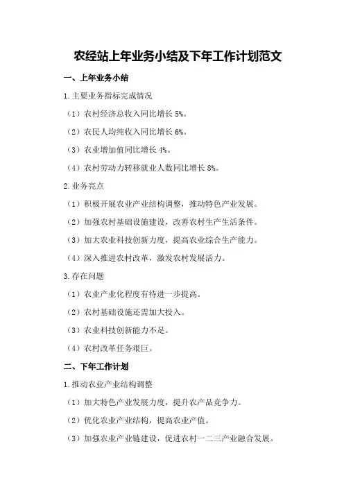 农经站上年业务小结及下年工作计划范文