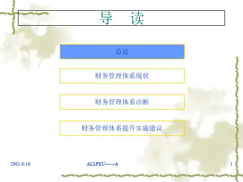 某公司财务管理咨询报告8