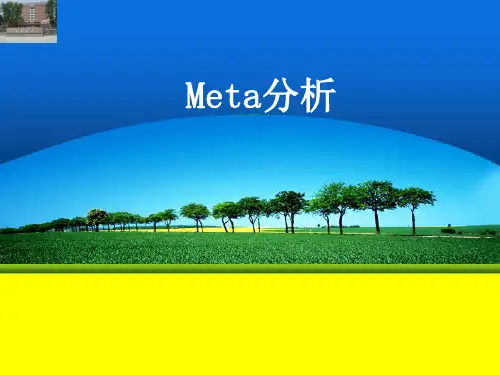 Meta分析  ppt课件