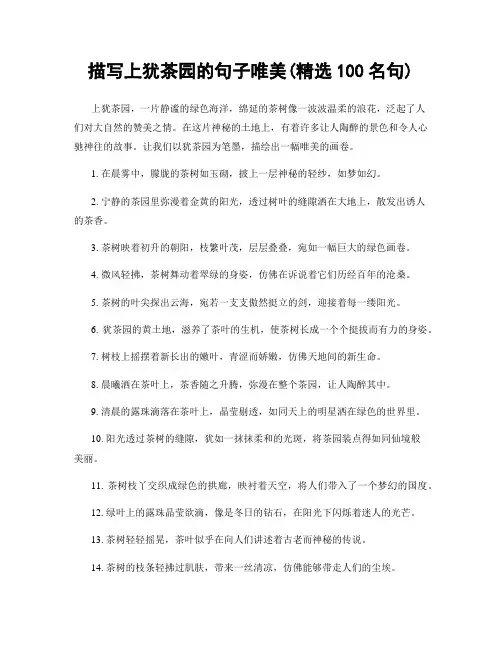 描写上犹茶园的句子唯美(精选100句)